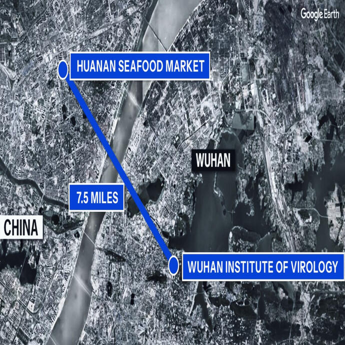 Wuhan Institute Of Virology